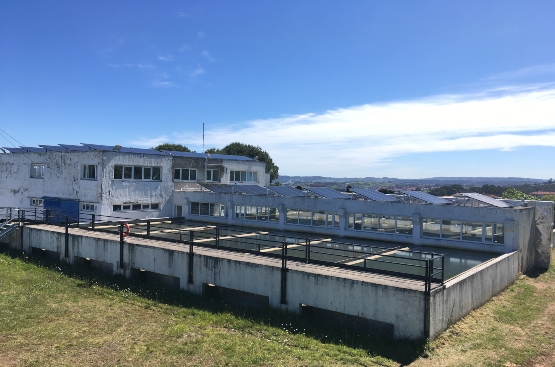 Ir a la noticia Aguas de Avilés mejora la eficiencia energética  de la planta de tratamiento de agua gracias a la energía solar